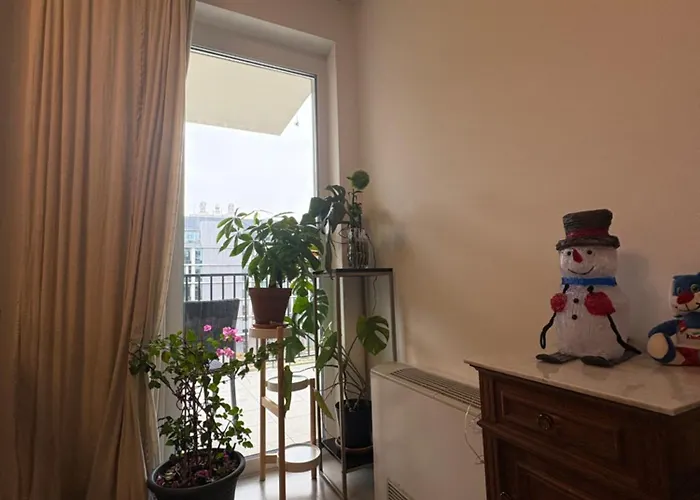 Danube 3 Beds With Big Balcony Parking 10euro A Day Budapest